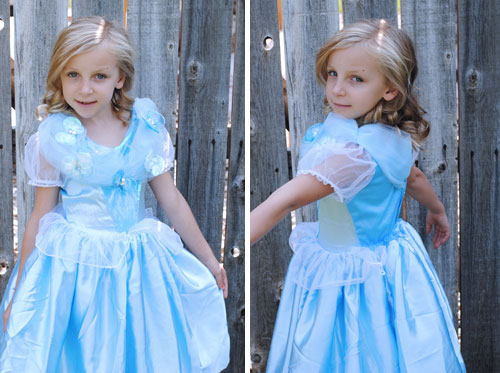 Cinderella's Butterfly Dress Makeover
